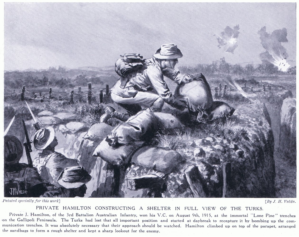Hamilton közlegény menedéket épít a törökök láttán a Lone Pine árkoknál a Gallipoli-félszigeten 1915. augusztus alkotó: John Harris Valda