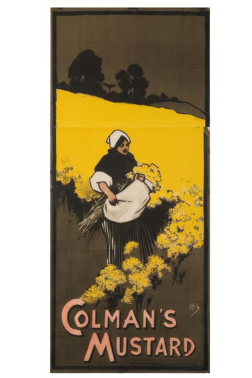 "Colmans mustár" / J. Hassall / Plakat, 1898 alkotó: John Hassall