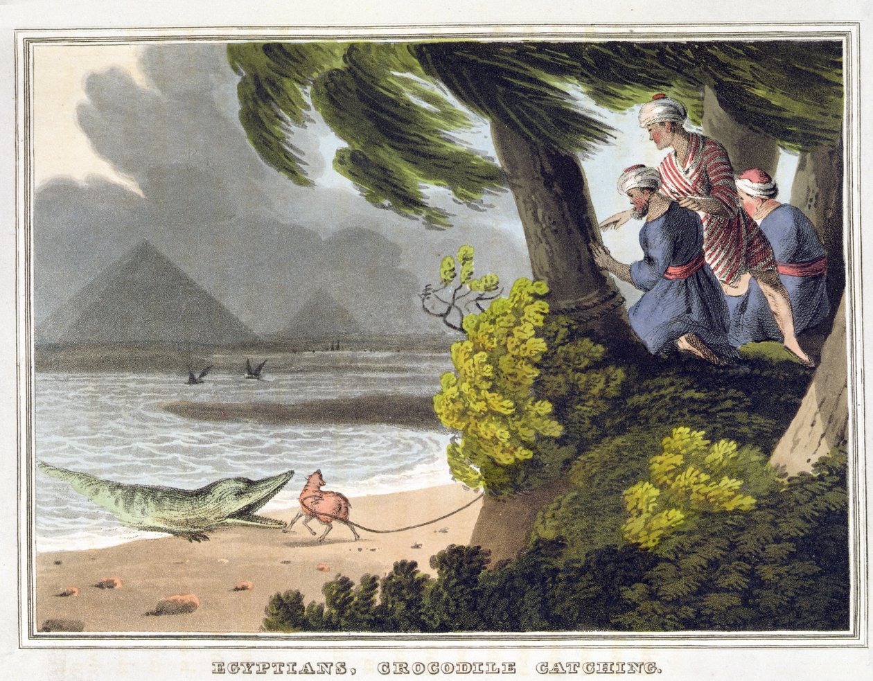Egyiptomi krokodilfogás, Matthew Dubourg metszete (fl.1785-1820), kiadó: Edward Orme alkotó: John Heaviside (after) Clark