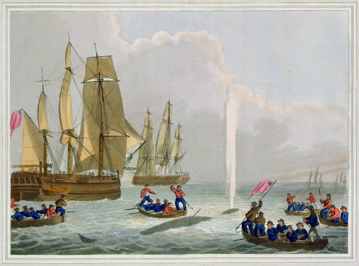 Csónakok közeledve egy bálnához, vésette Matthew Dubourg (fl.1785-1820), kiadó: Edward Orme, 1813 alkotó: John Heaviside Clark