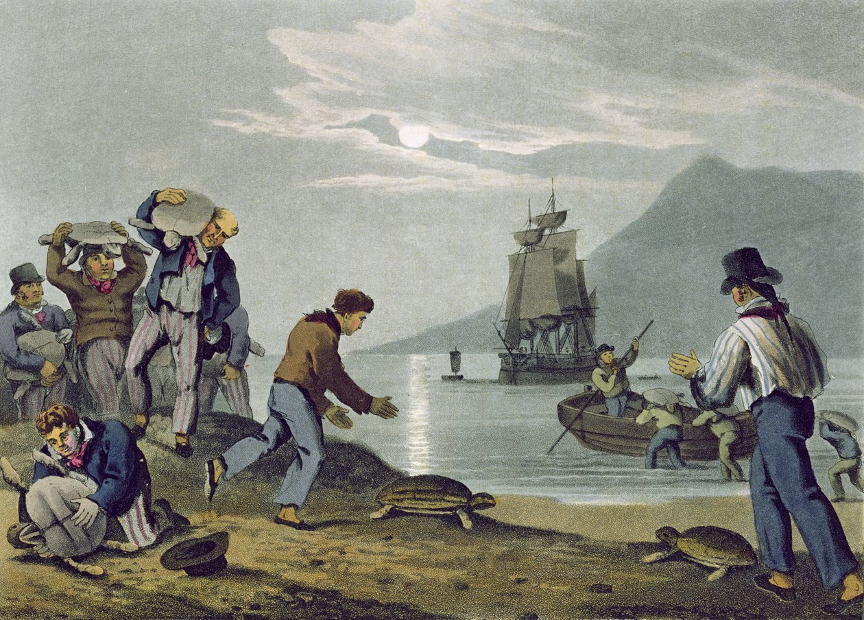 Teknősfogás a szárazföldön, metszett Matthew Dubourg (fl.1785-1820), kiadó: Edward Orme, 1813 alkotó: John Heaviside Clark