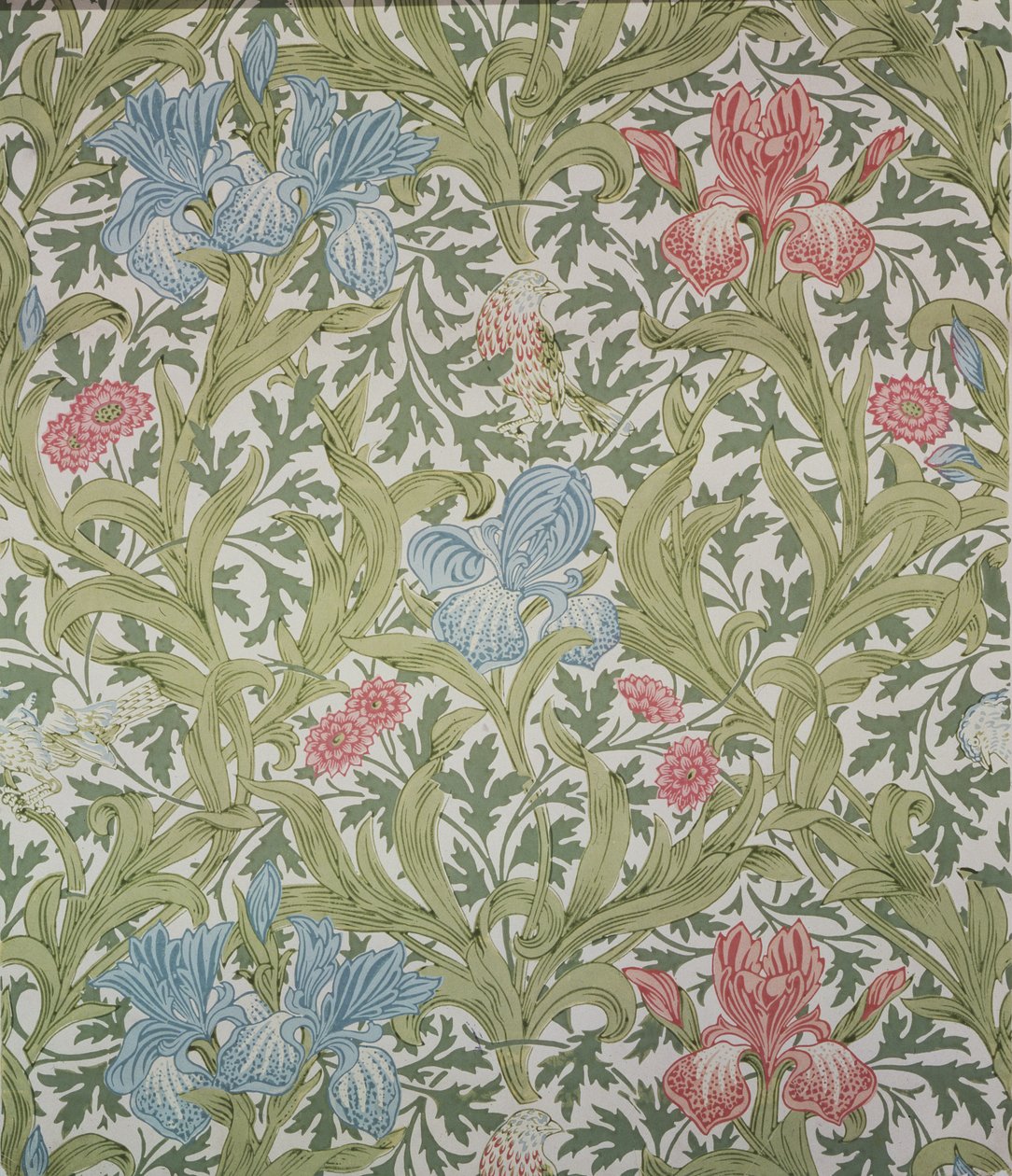 Iris tapéta, amelyet John Henry Dearle (1860-1932) tervezett a Morris und Company számára, 1902 alkotó: John Henry Dearle