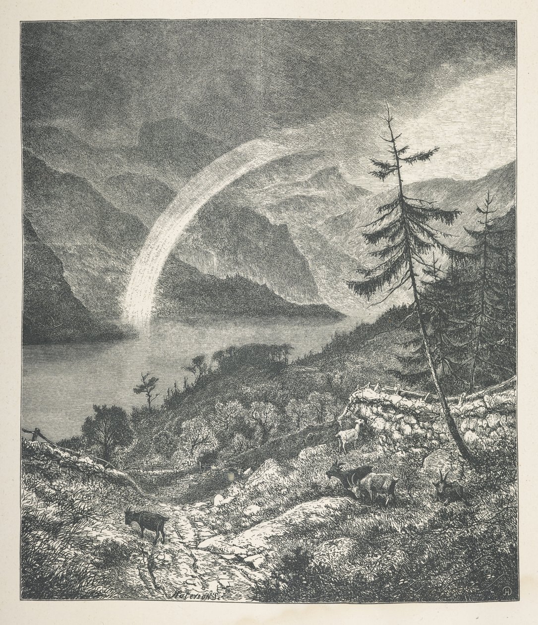 18. tábla. Rainbow, a „Nature Pictures”-től, harminc eredeti illusztrációból álló sorozat, J. H. Dell fára rajzolta, és R. Paterson metszet.John Henry Dell alkotó: John Henry Dell