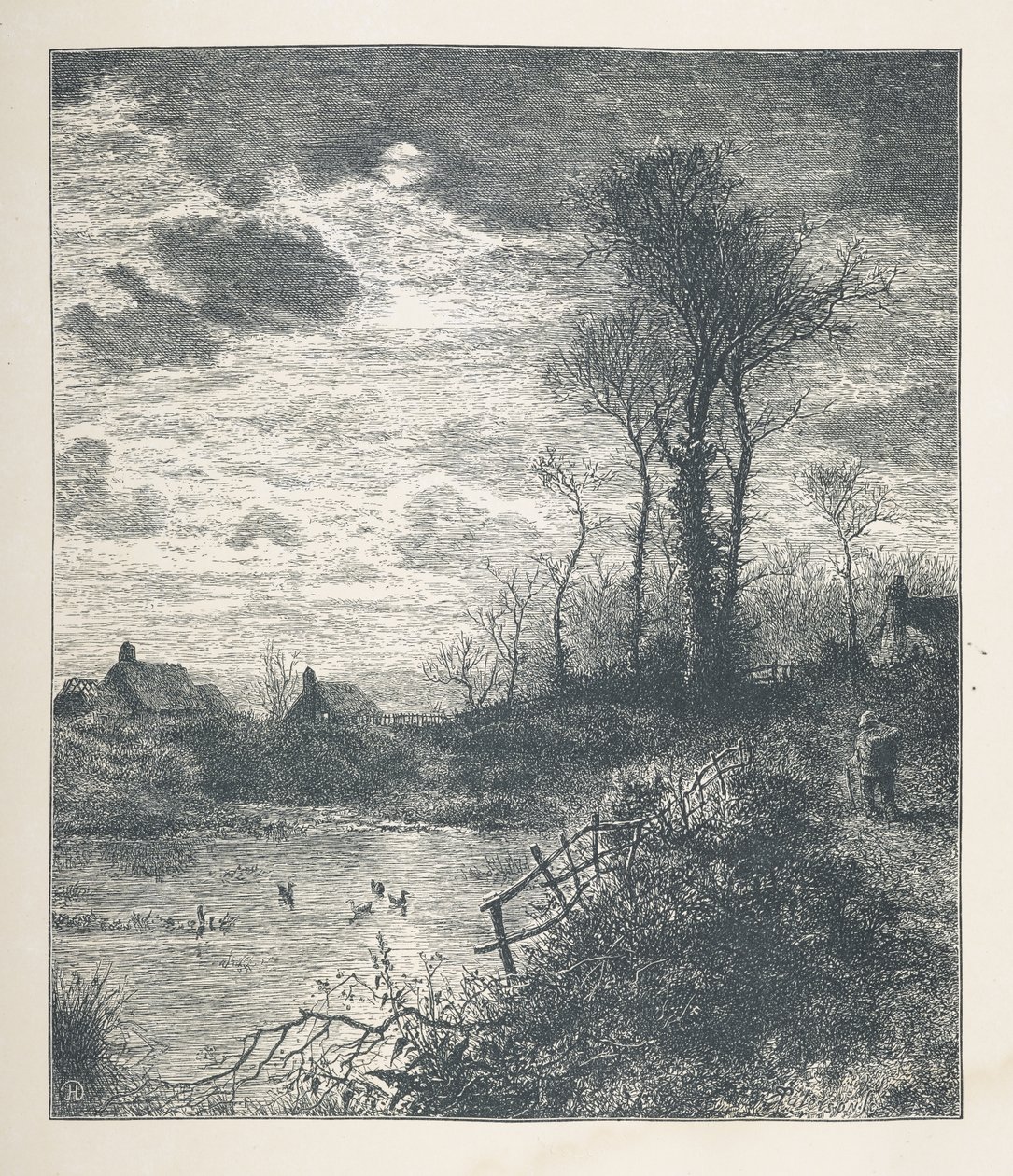 23. tábla. Egy tavacska, a Nature Picturestől, harminc eredeti illusztrációból álló sorozat, J. H. Dell fára rajzolta és R. Paterson metszet.John Henry Dell alkotó: John Henry Dell