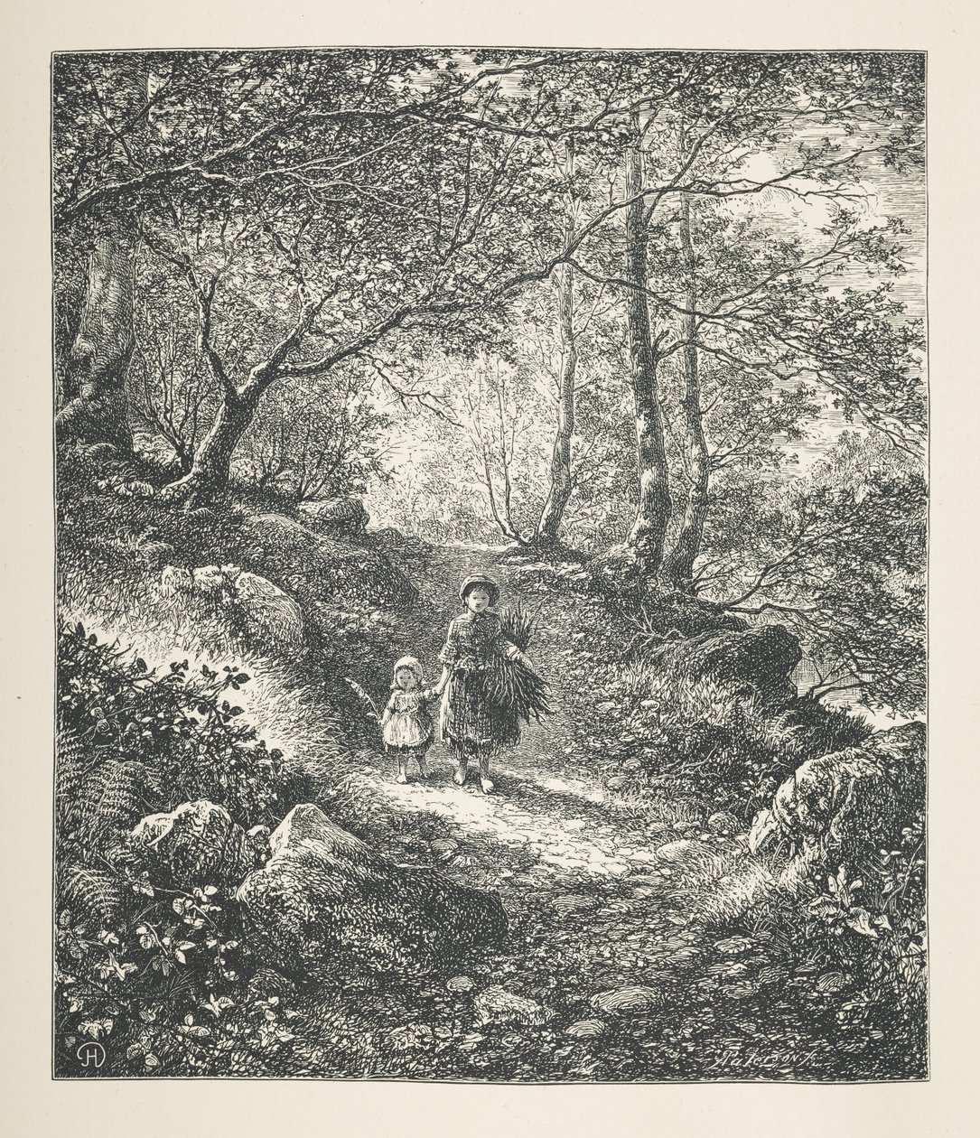 26. tábla. Séta egy fán, a "Nature Pictures"-től, harminc eredeti illusztrációból álló sorozat, J. H. Dell fára rajzolta, és R. Paterson metszet.John Henry Dell alkotó: John Henry Dell
