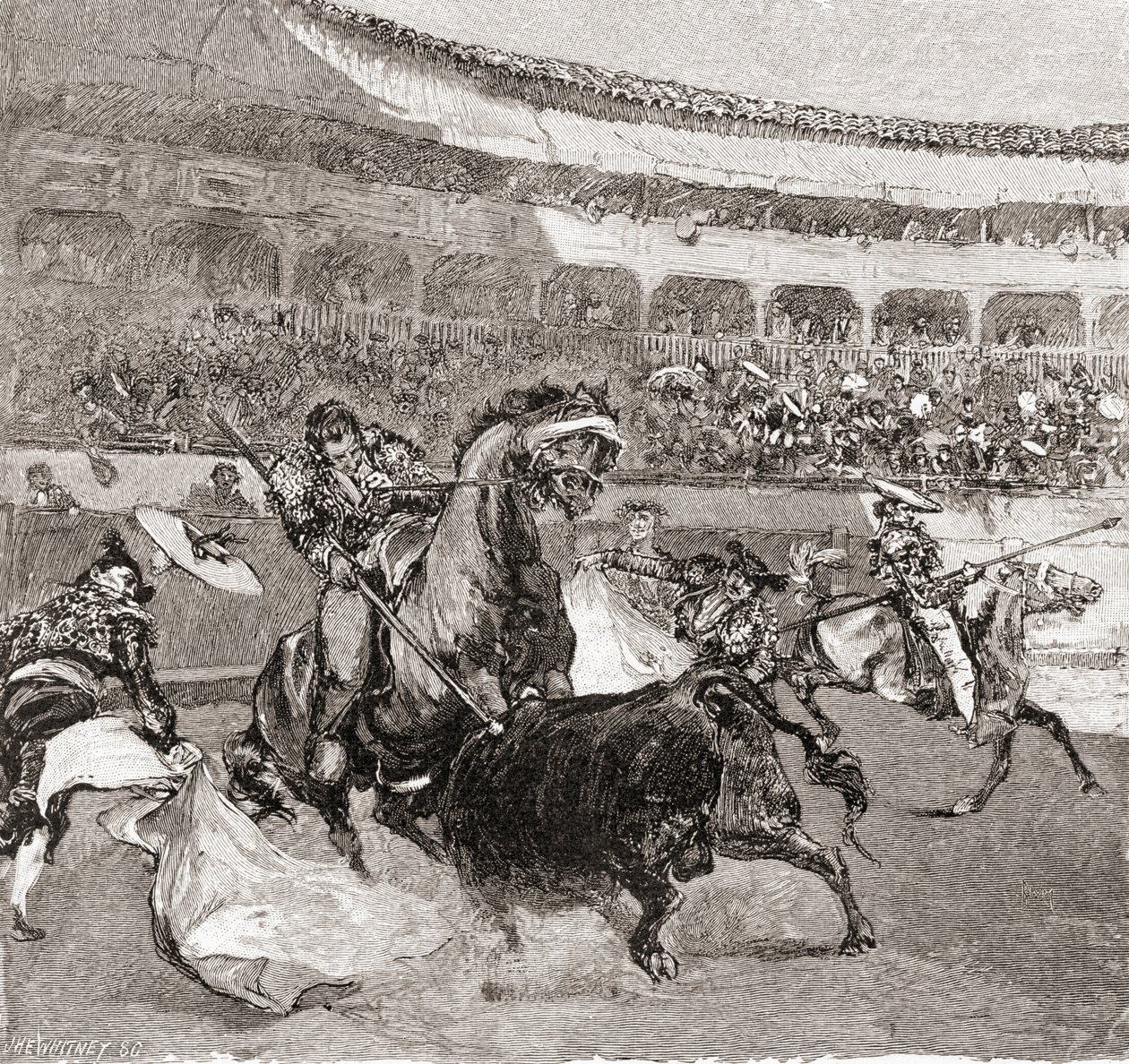 Bikaviadal a spanyolországi Sevillában, a The Century Illustrated Monthly Magazine 1884-es számából (fametszet) alkotó: John Henry Ellsworth Whitney