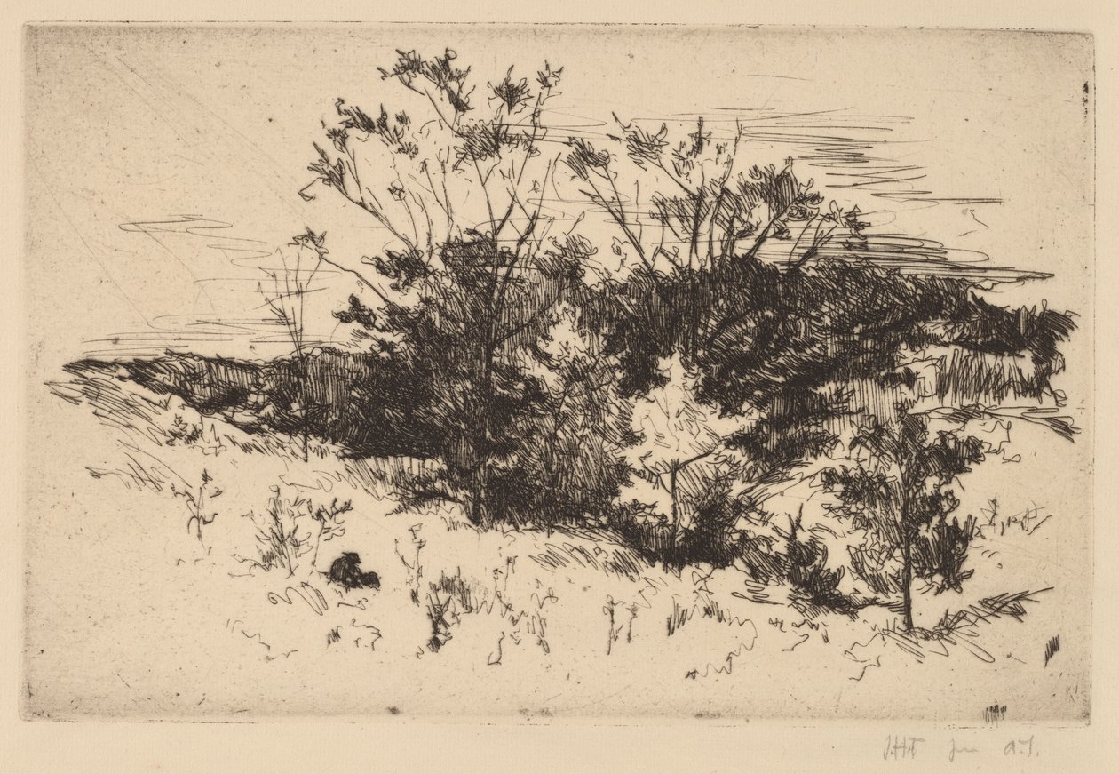 Őszi Avondale alkotó: John Henry Twachtman