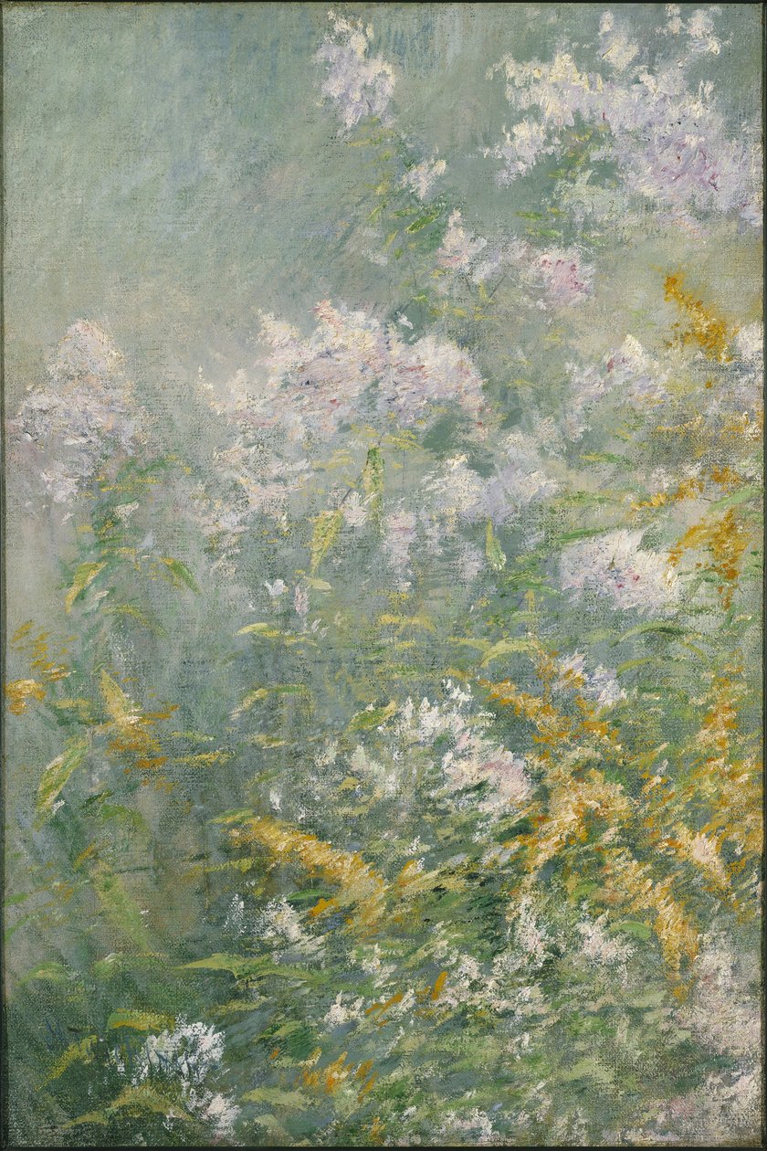 Réti virágok (aranyrúd és vad őszirózsa), 1892 körül (olaj, vászon) alkotó: John Henry Twachtman