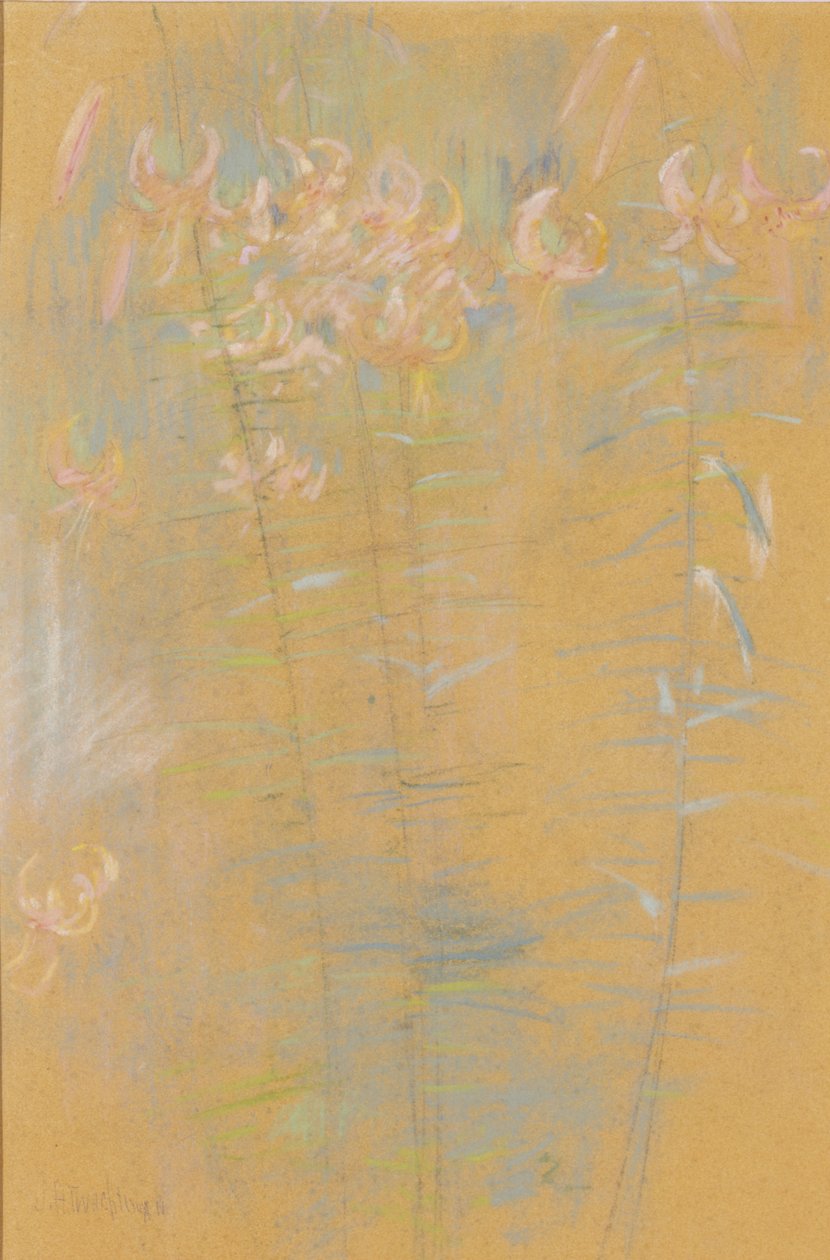 Tigris liliomok alkotó: John Henry Twachtman