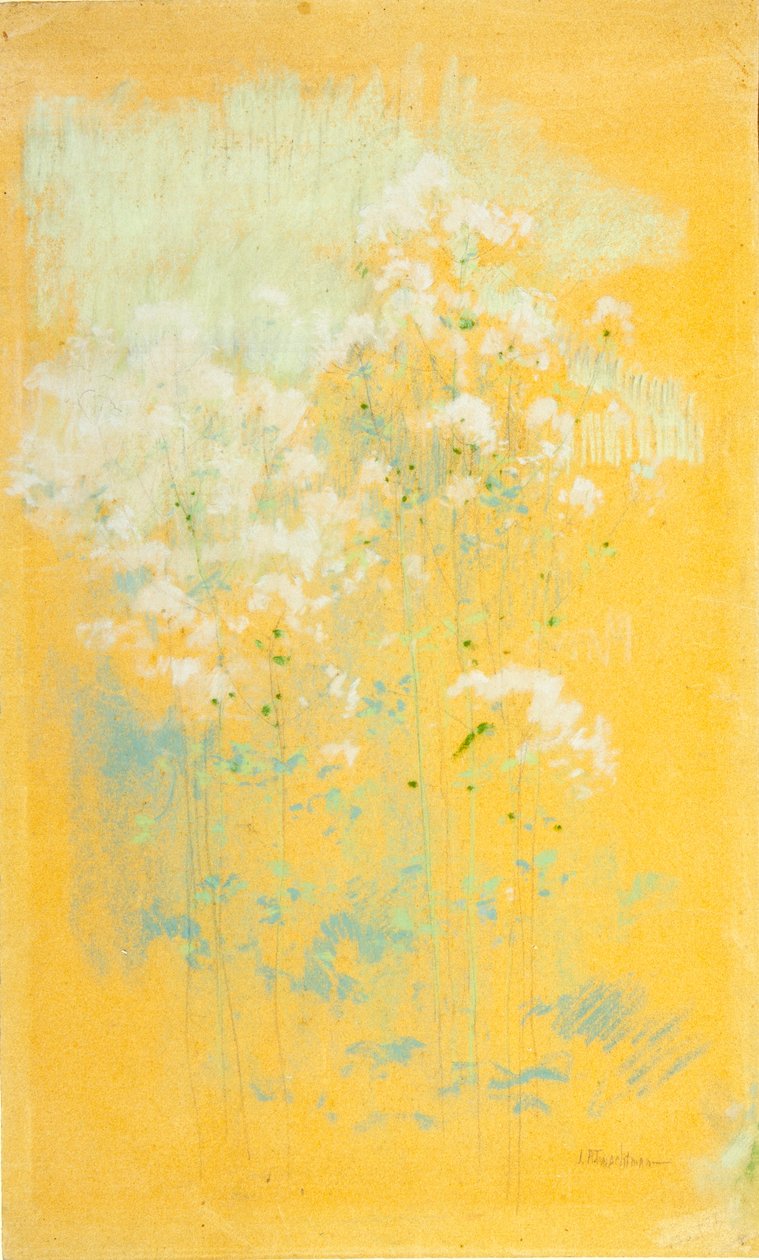 Vadvirágok alkotó: John Henry Twachtman