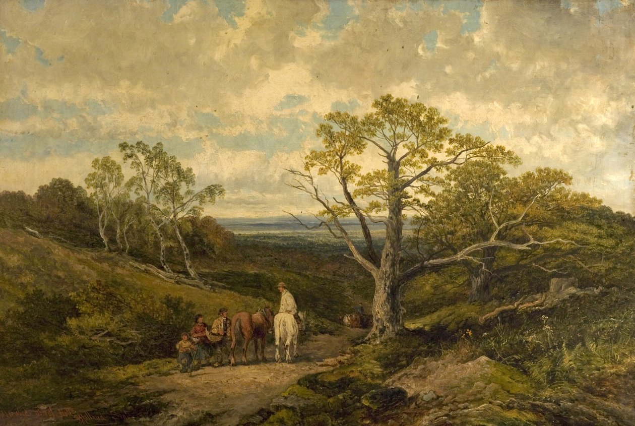 Nézd a Sherwood Forestben, Nottinghamshire-ben alkotó: John Holland