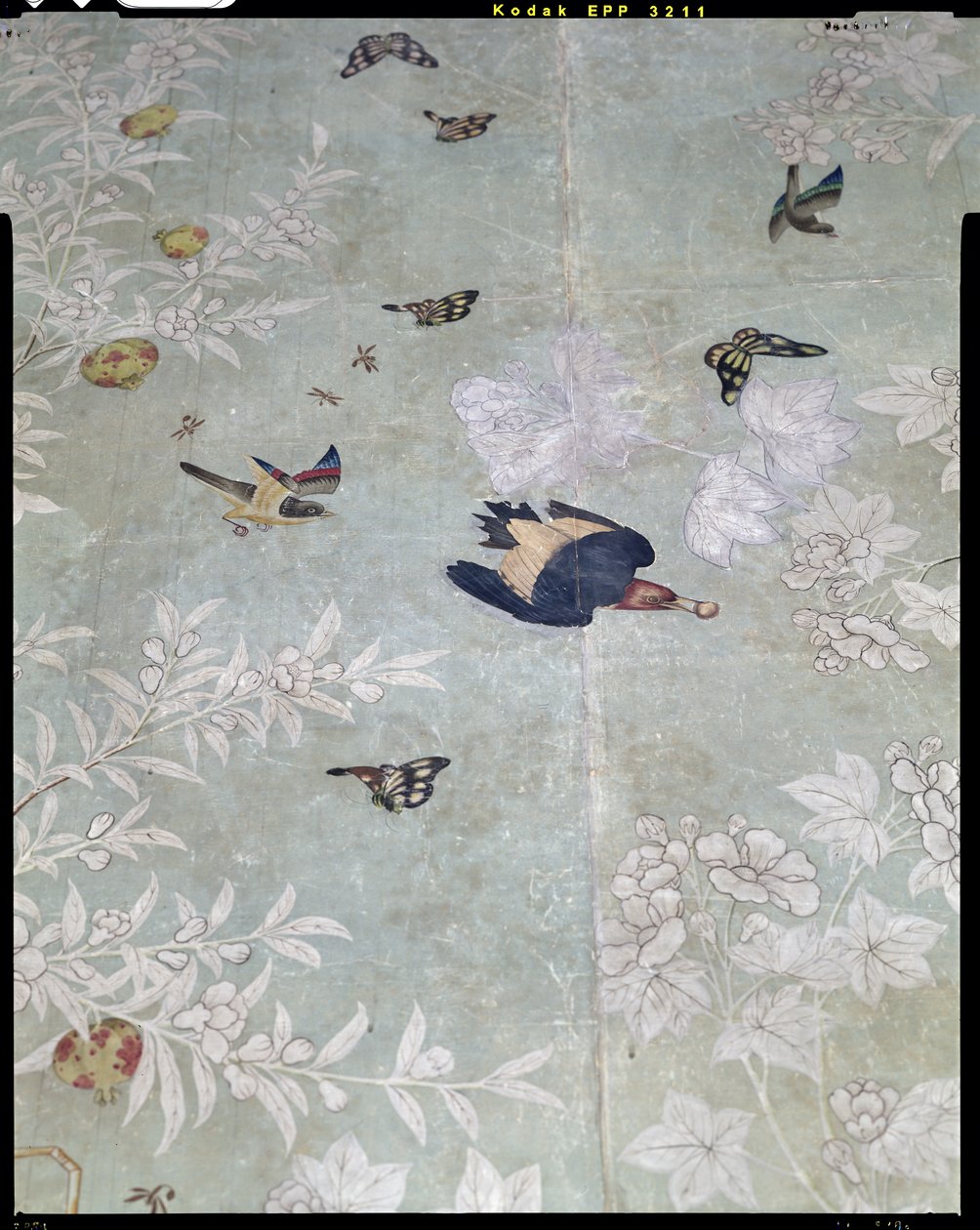 Vörösfejű harkály, a „The Birds of America”-ból kivágva, kézzel festett kínai tapétára (kollázsra) ragasztva alkotó: John James Audubon