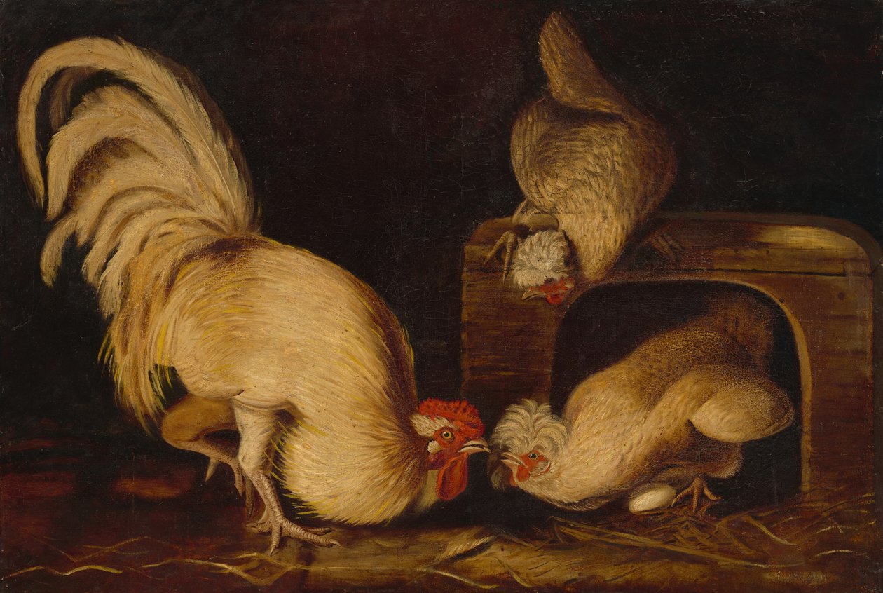 Tanyasi szárnyasok, c. 1827. alkotó: John James Audubon