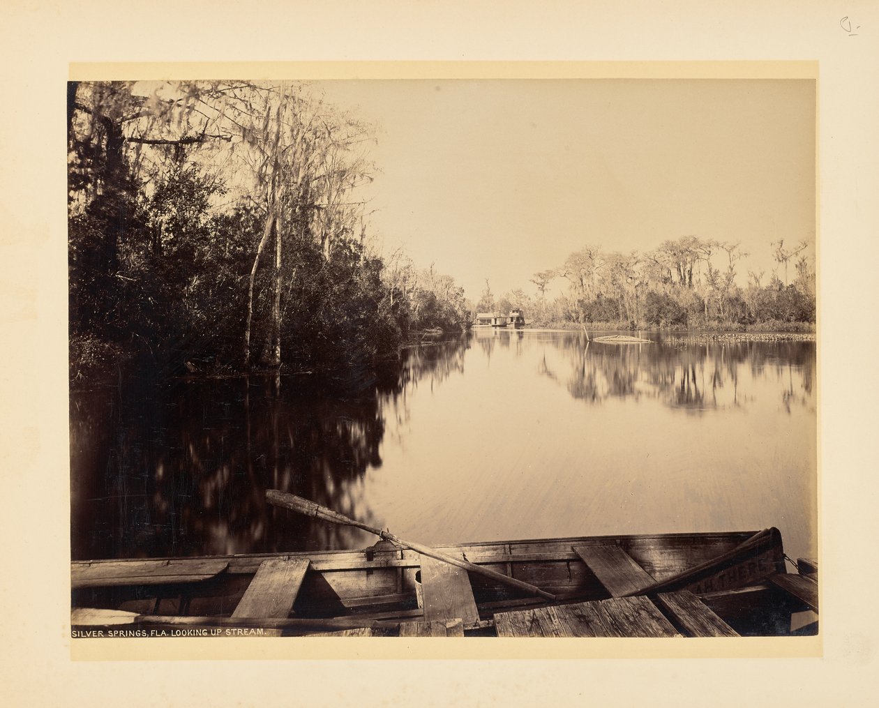 Silver Springs, Florida, kilátás folyásiránnyal szemben alkotó: John K. Hillers