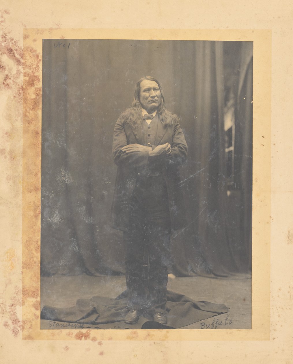 Stehender Büffel alkotó: John K. Hillers