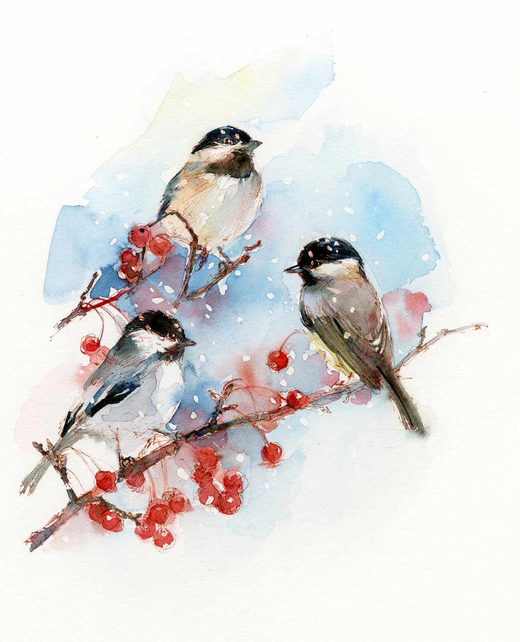 Chickadees bogyókkal, 2017, (akvarell) alkotó: John Keeling