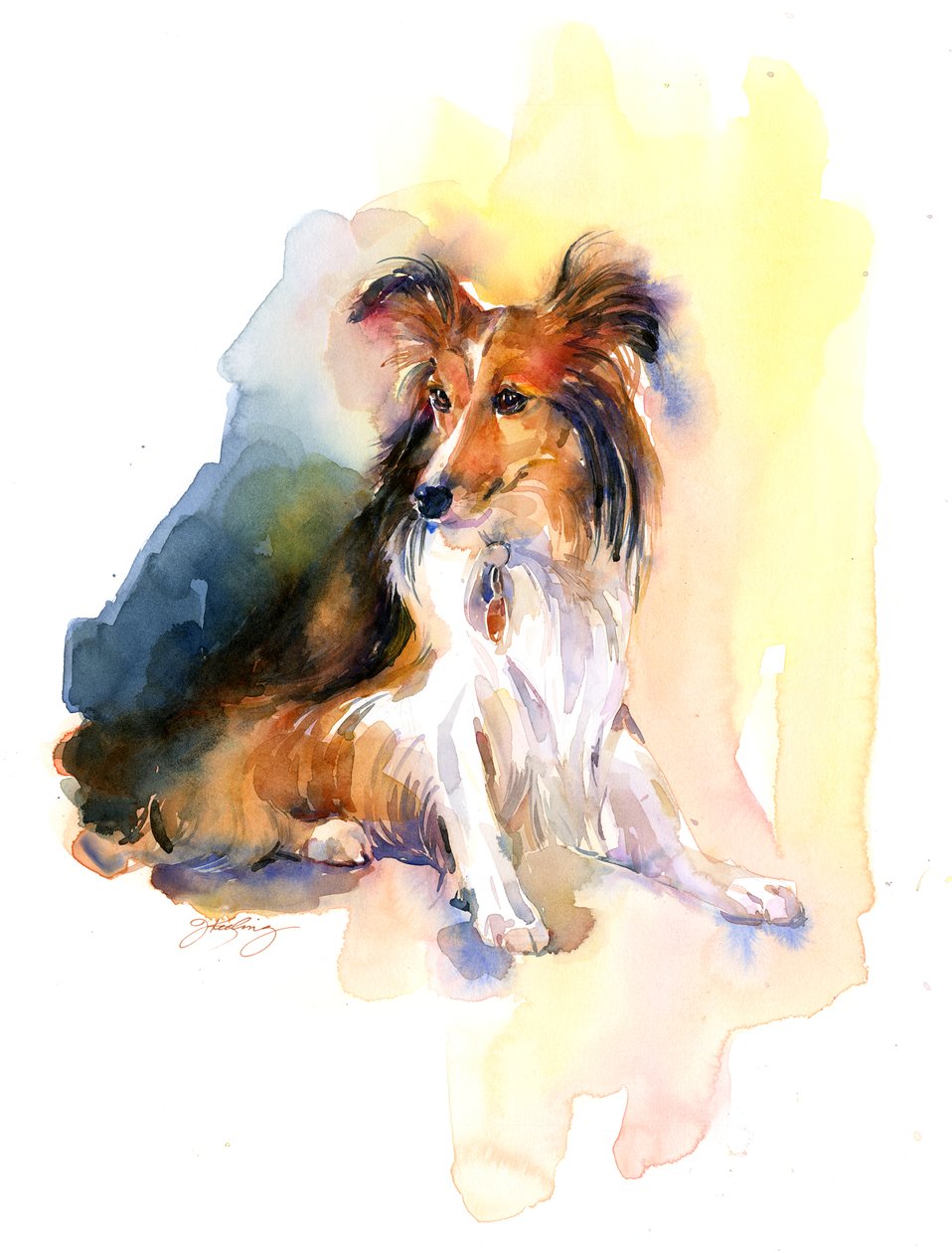 Sheltie portré, 2015, (akvarell) alkotó: John Keeling