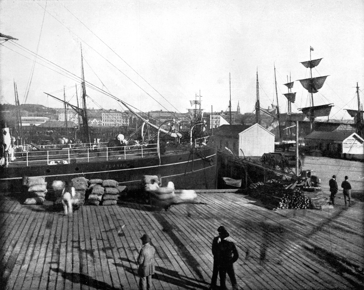 Auckland kikötője, Új-Zéland, 1893. alkotó: John L. Stoddard
