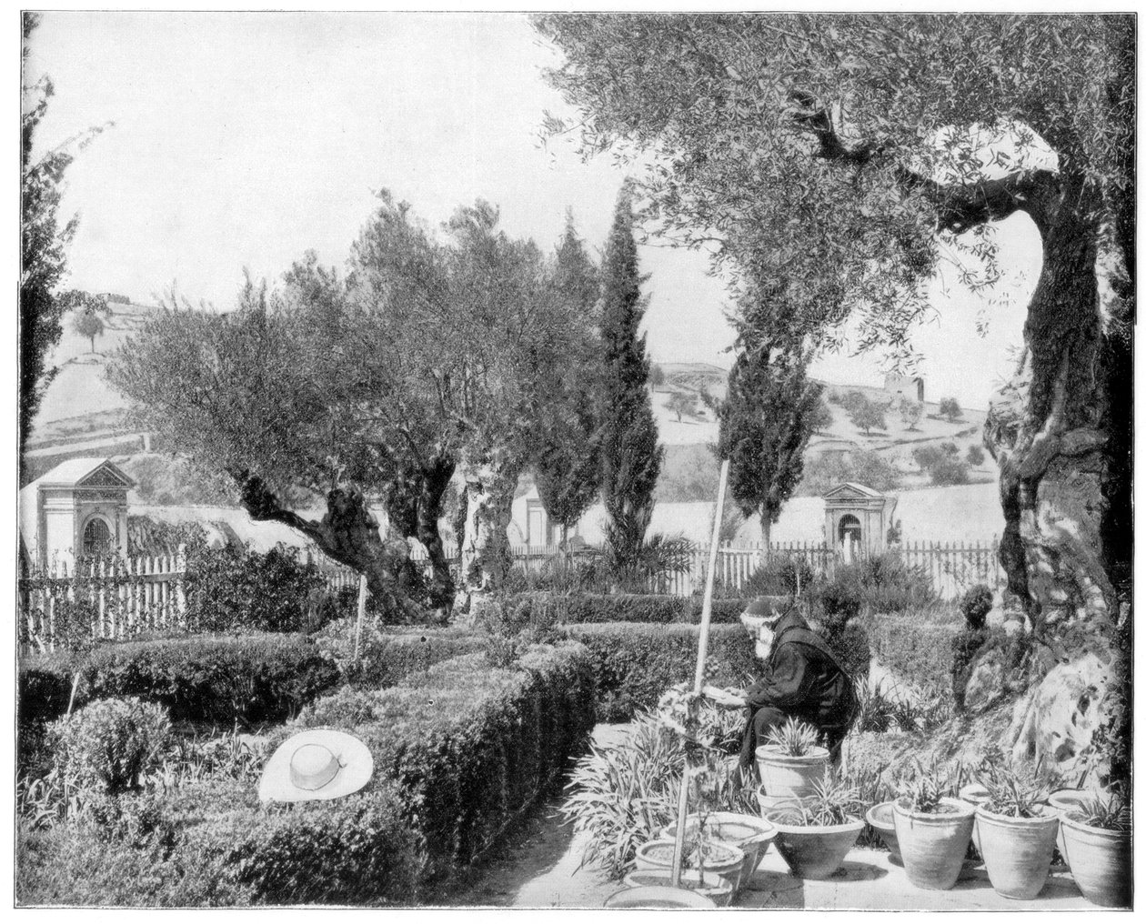A Gecsemáné kertje, Palesztina, 19. század vége. alkotó: John L. Stoddard