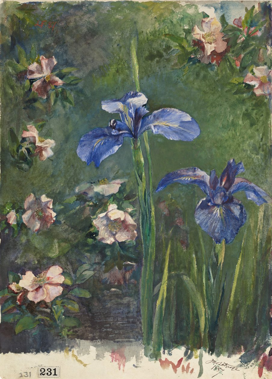 Vadrózsák és íriszek, 1887. alkotó: John La Farge