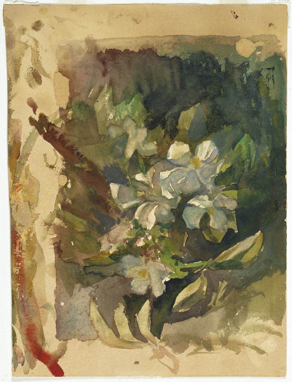 Almavirágok napfényben (wc papíron) alkotó: John La Farge or Lafarge