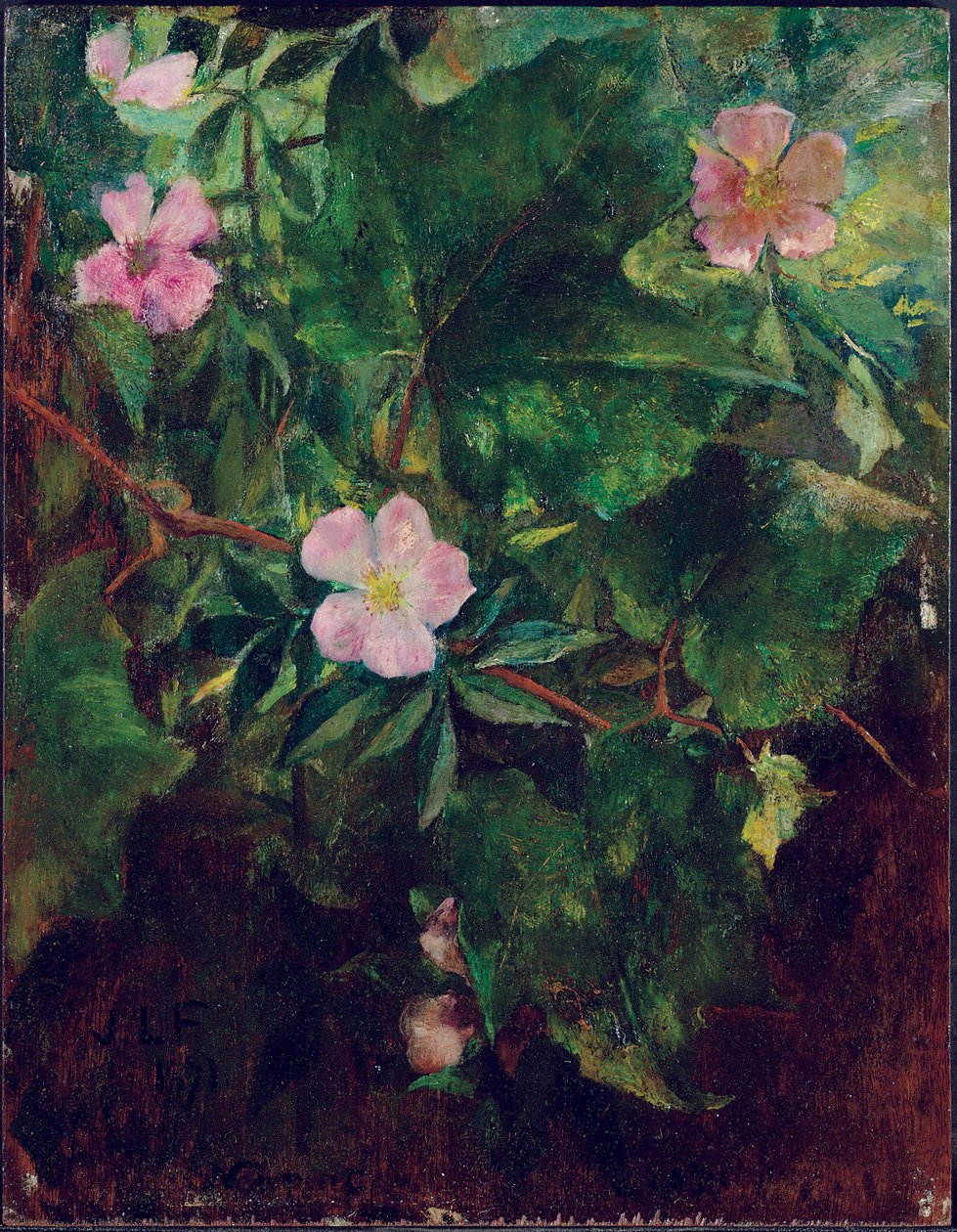 Vadrózsa és szőlő, Tanulmány a természetből, 1871 alkotó: John La Farge or Lafarge