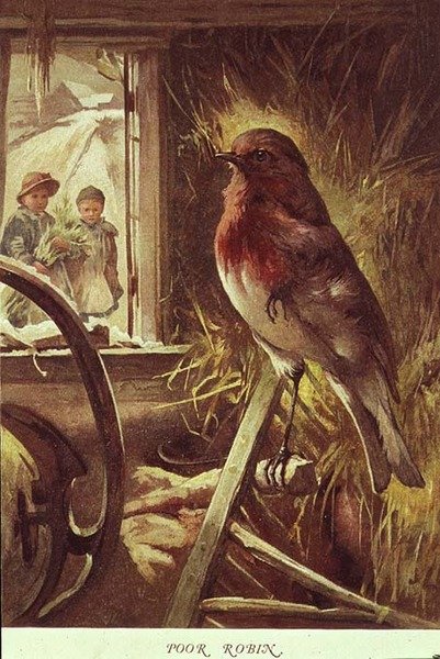 Szegény Robin, illusztráció a „Childhood Valley”-ből, írta Paul Lawson alkotó: John Lawson