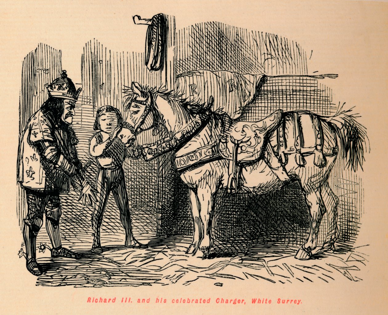 Richard III. és az ünnepelt töltője, White Surrey, alkotó: John Leech
