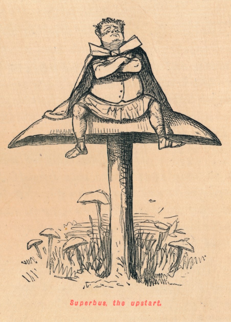 Superbus, a feltörekvő, 1852 alkotó: John Leech
