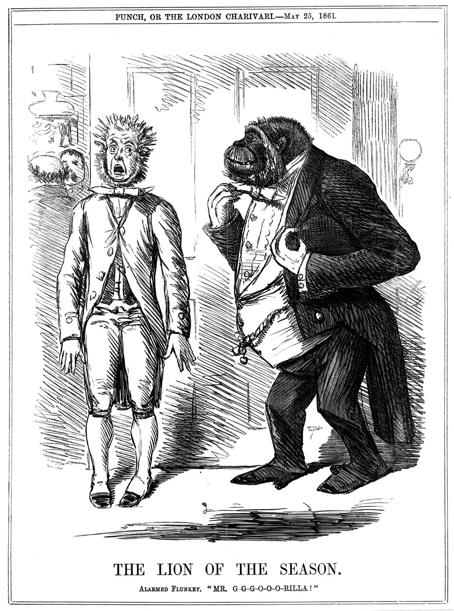 Az évszak oroszlánja, 1861 alkotó: John Leech