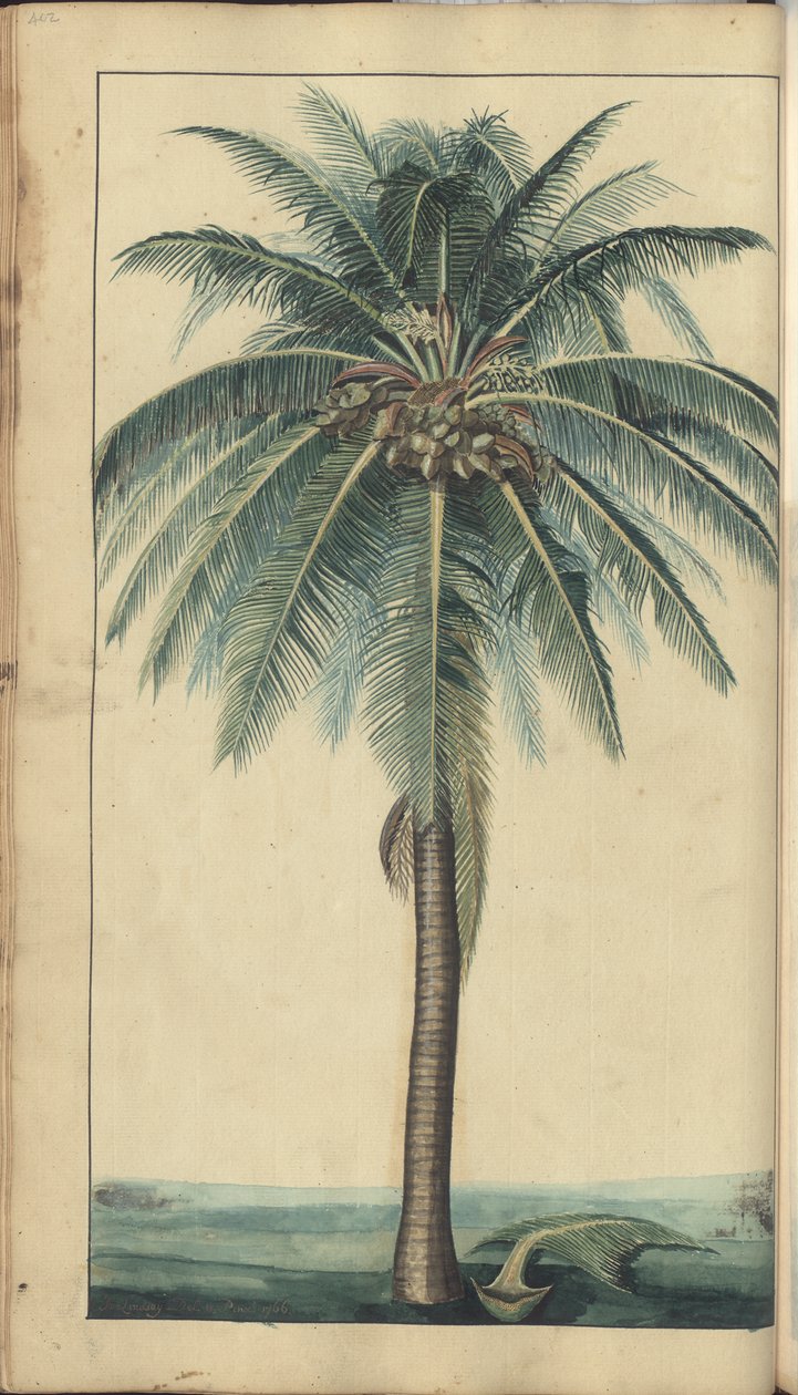 Egy oldal a "Jamaica eleganciáiból", 402 alkotó: John Lindsay
