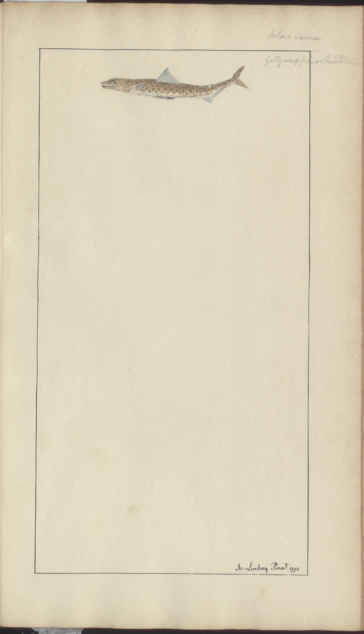 Lindsay Drawings Vol. VII, 23 alkotó: John Lindsay