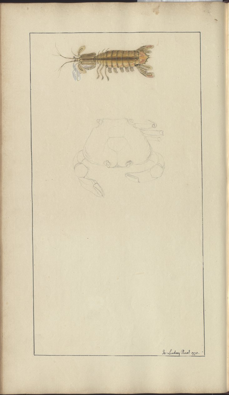 Lindsay Drawings Vol. VII, 24 alkotó: John Lindsay