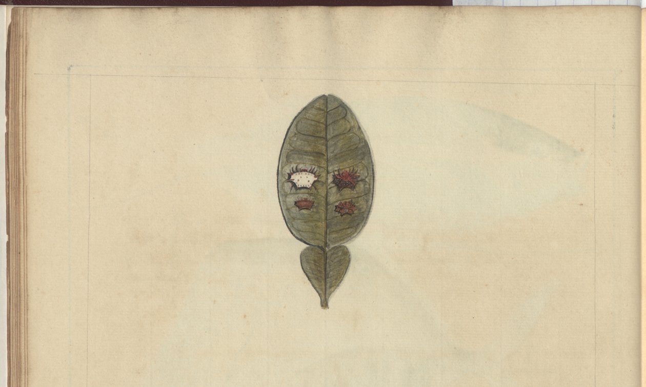 Lindsay Drawings Vol. VII, 3 alkotó: John Lindsay