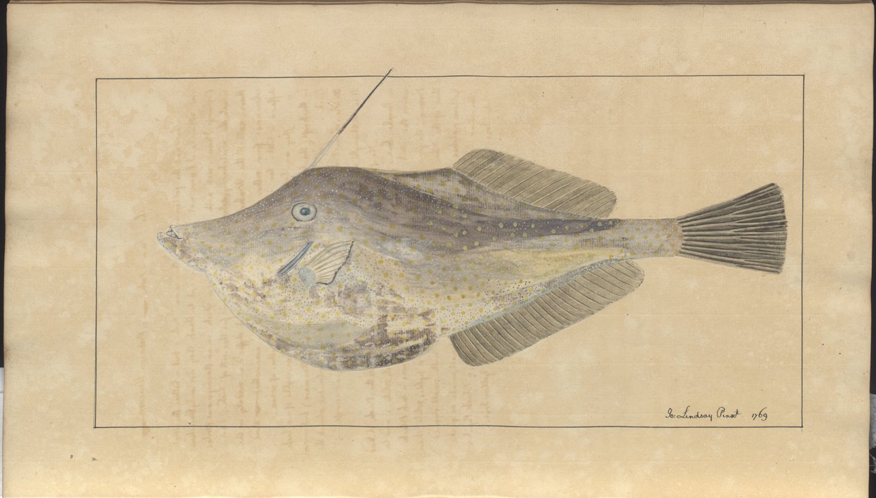 Lindsay Drawings Vol. VII, 7 alkotó: John Lindsay