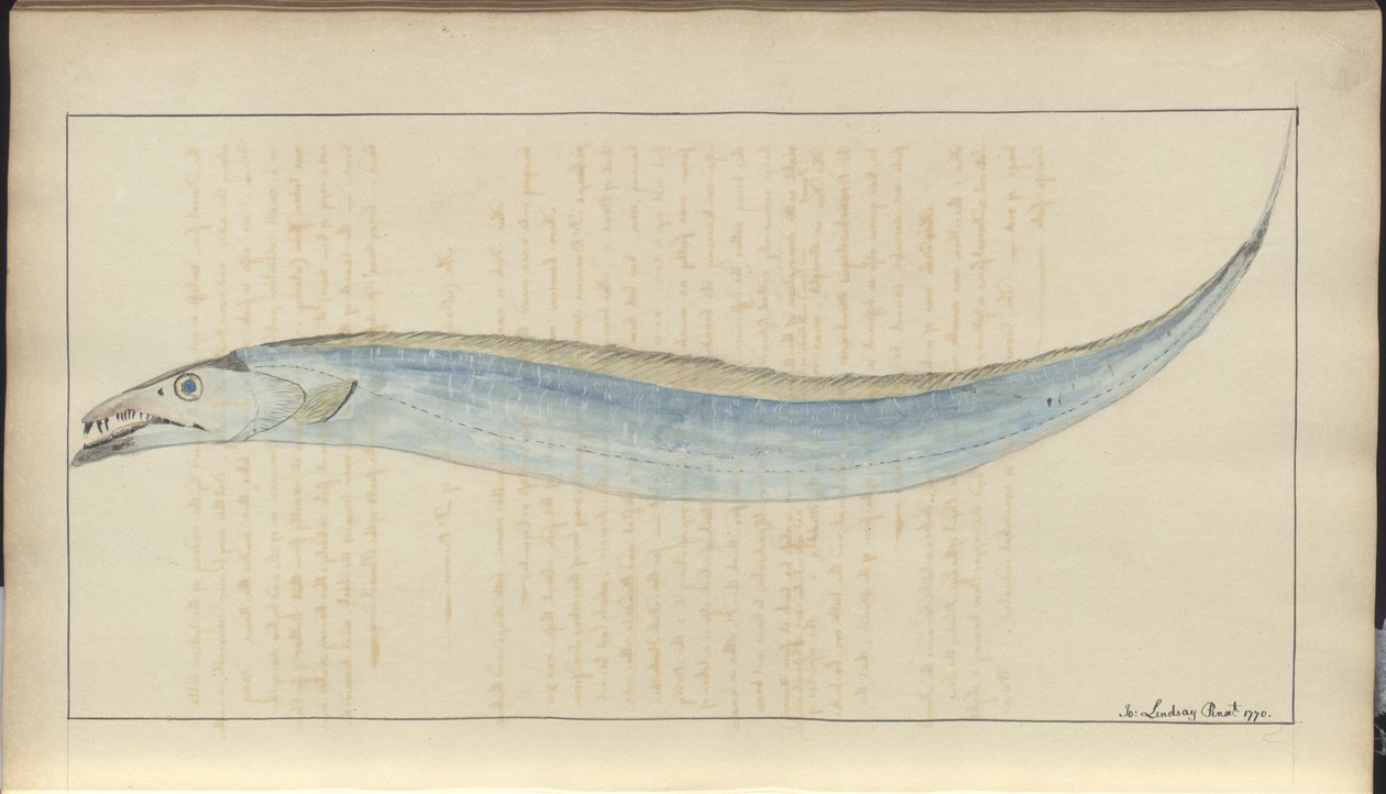 Lindsay Drawings Vol. VII, 9 alkotó: John Lindsay