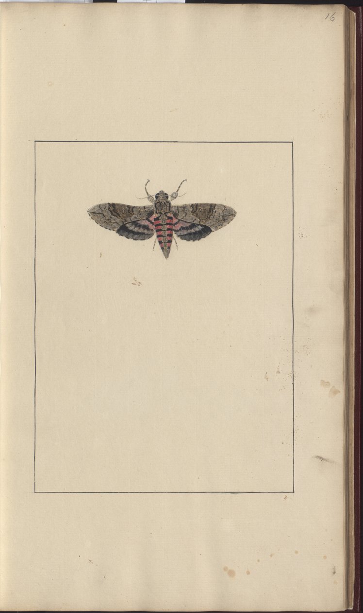 Lindsay Drawings Vol. VI alkotó: John Lindsay
