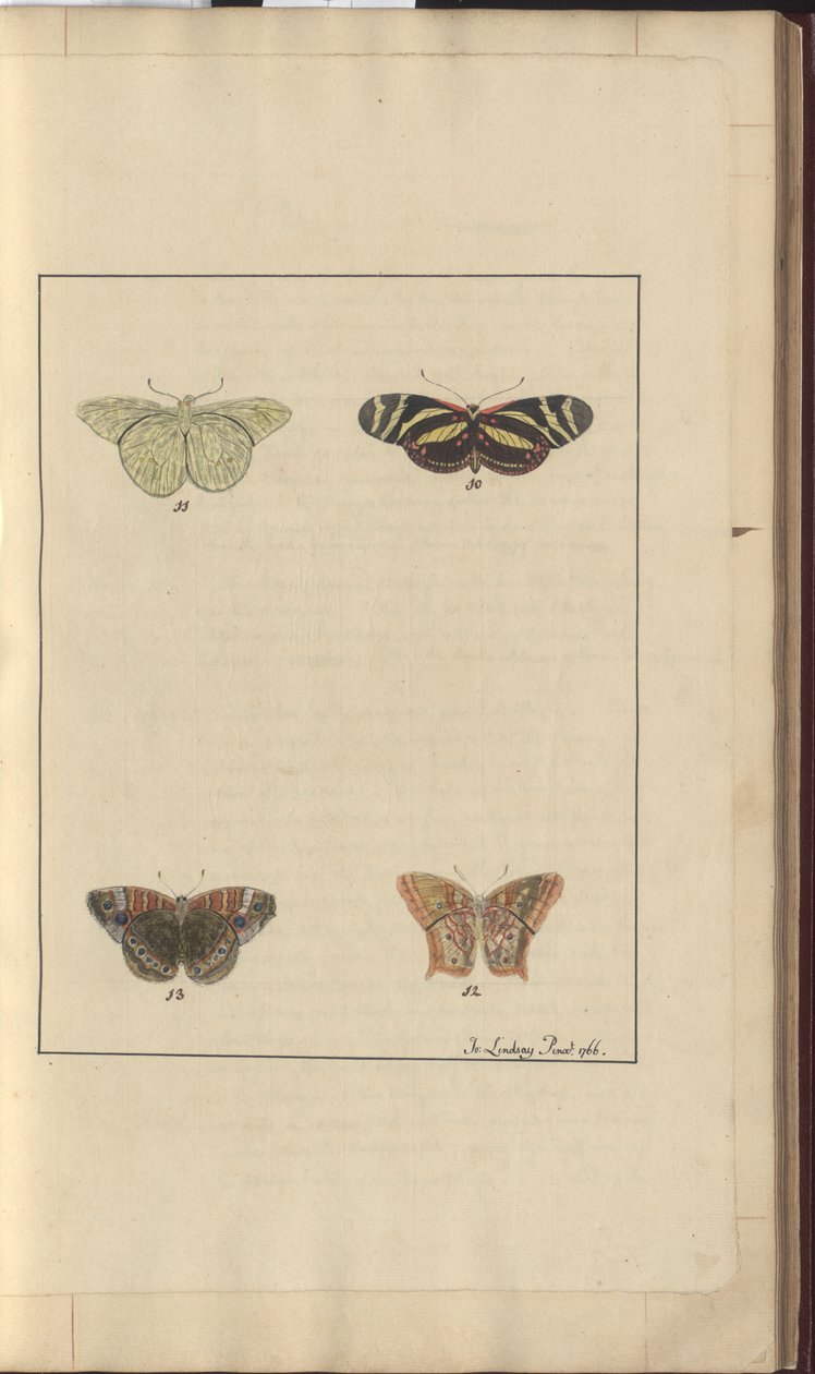 Lindsay Drawings Vol. VI, 36 alkotó: John Lindsay