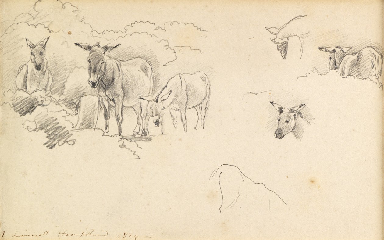 Szamarak, 1824 alkotó: John Linnell
