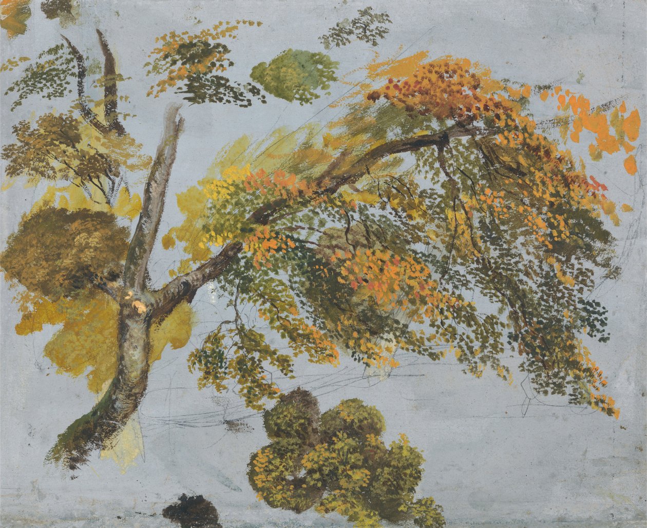 Baumstudie (Herbstlaub) alkotó: John Linnell