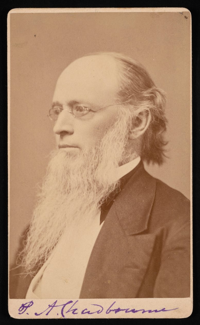 Paul Ansel Chadbourne portréja 1823-1883, 1872-1875 között. alkotó: John Lyman Lovell