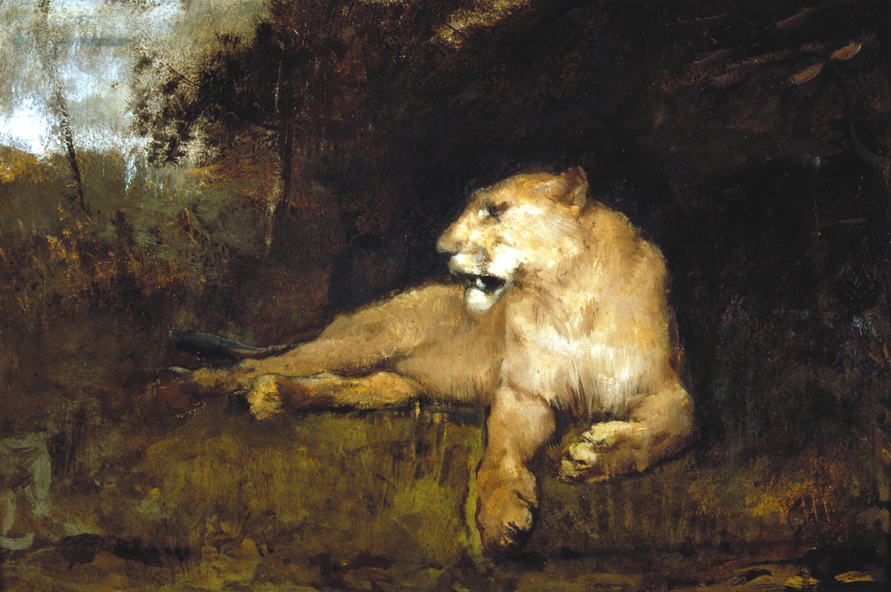 „Egy oroszlán”, 1867-1910 alkotó: John Macallan Swan