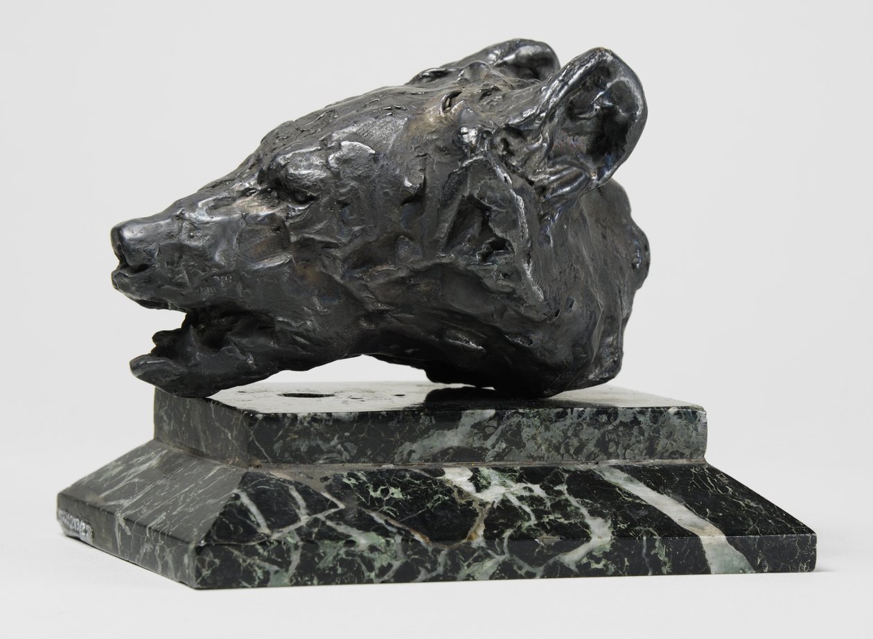 Medvefej, 1900 körül (bronz) alkotó: John Macallan Swan