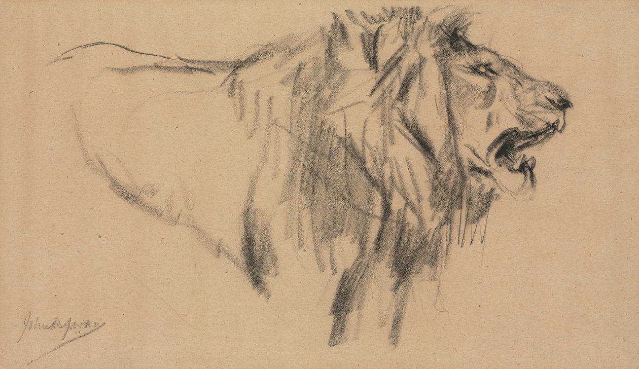 Oroszlán. alkotó: John Macallan Swan