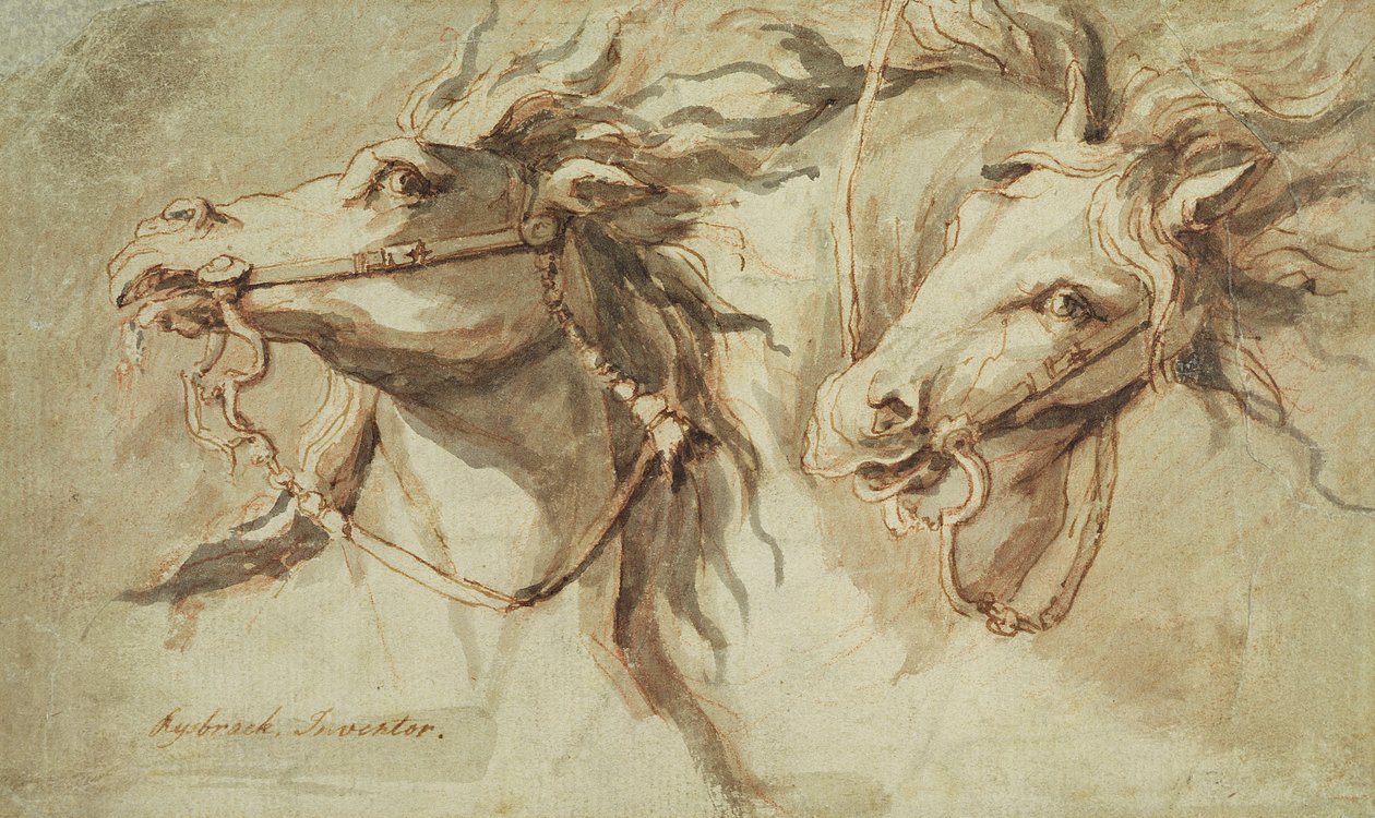 Két lófej (toll, tinta, és piros krétával mosható fényes papíron) alkotó: John Michael Rysbrack