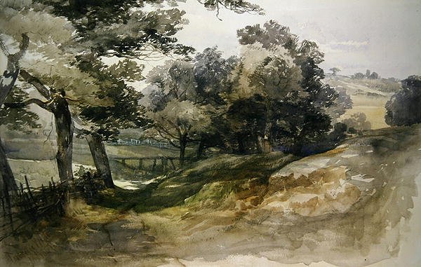 Egy Shady Lane, Tunbridge Wells alkotó: John Middleton
