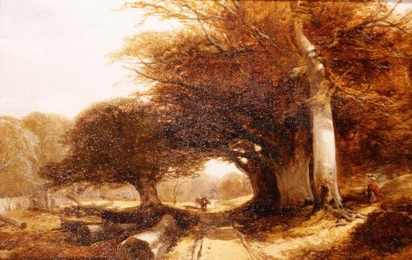Erdei táj alkotó: John Middleton