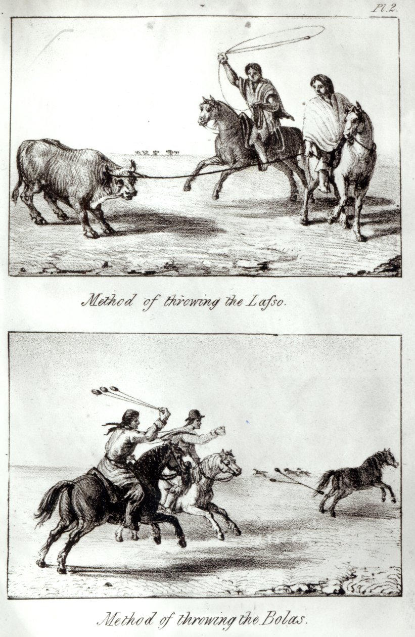 A Lasszó és a Bolák dobásának módszerei, John Miers „Utazások Chilében és La Platában” című művéből, 1826 (litho) (bw fotó) alkotó: John Miers