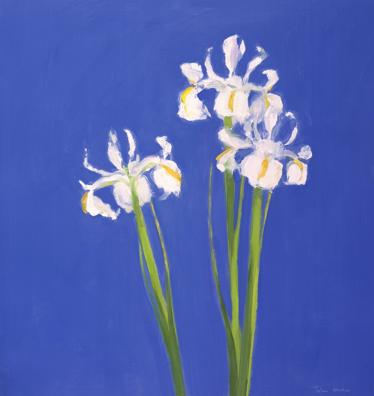 Holland fehér Exelsior, 2000 alkotó: John Miller