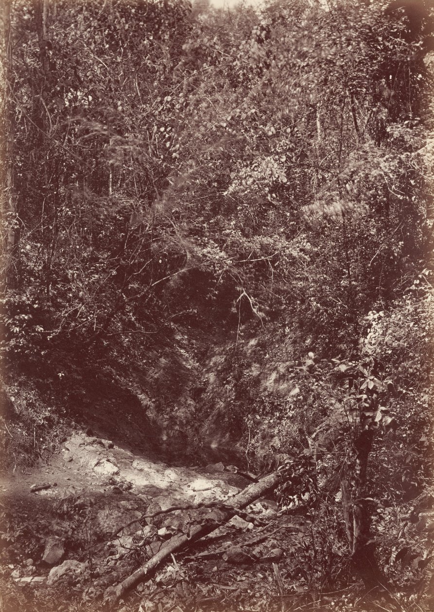 Darieni expedíció, 1871 (fotó) alkotó: John Moran